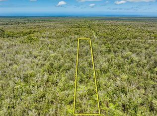 11-2675 Ala Kapena St LOT 35, Volcano, HI 96785