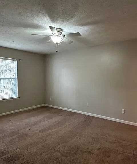 246 Waverly Ct — Photo 9