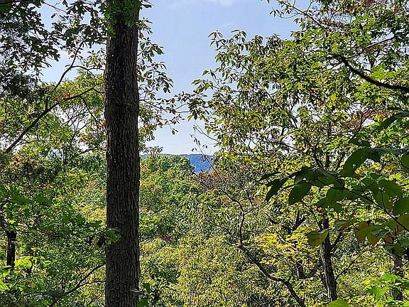 Mountain Views from lot.