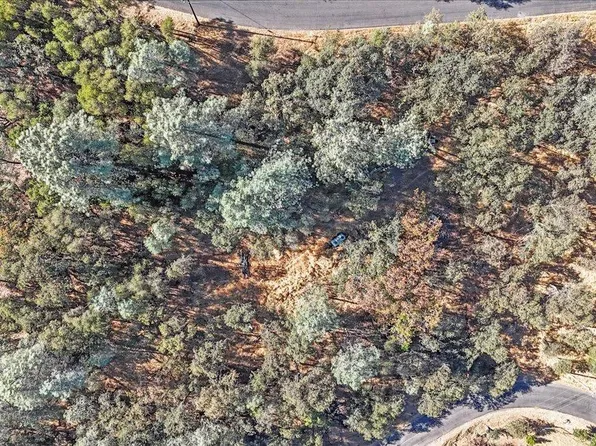 7000 Olympus Dr, Garden Valley, CA 95633
