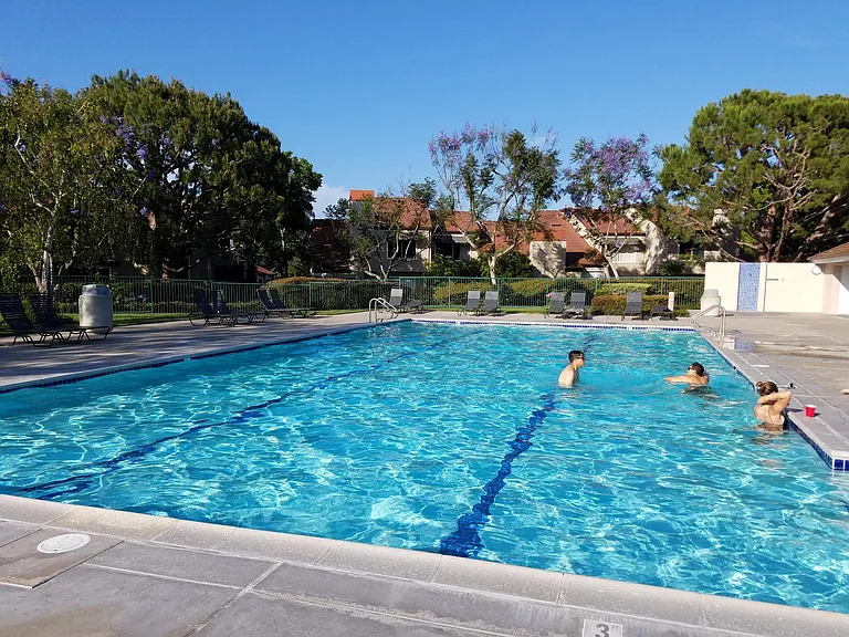 Community pool
