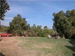 Large 1 acre yard