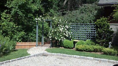 Rose Trellis
