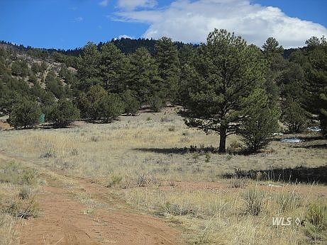 5th image of 15322 County Road 143