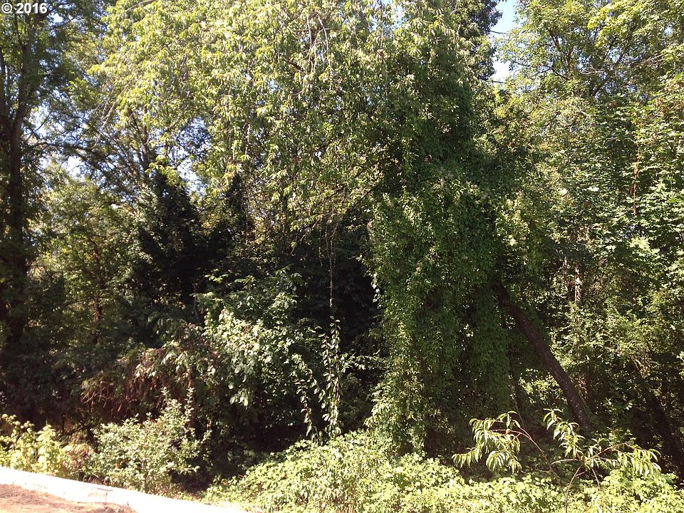 2nd image of SW Dolph Ct