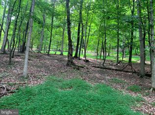 Caribou Dr, Springfield, WV 26763