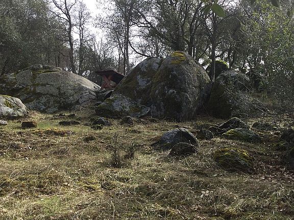 3rd image of 13643 Terrace Dr