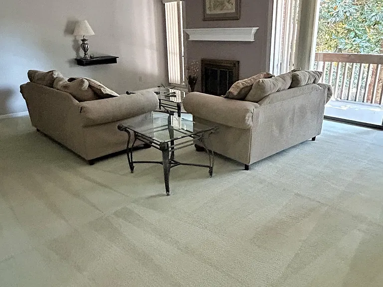 250 Sugar Gum Ln #252 — Photo 4