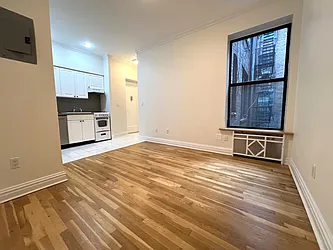 355 West 51st Street, #344