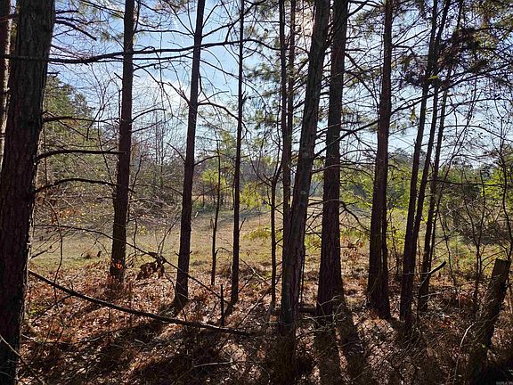 5th image of (Undisclosed Address)