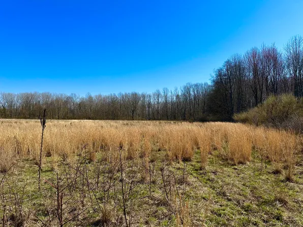 LOT 9 Foster Ln, South Haven, MI 49090