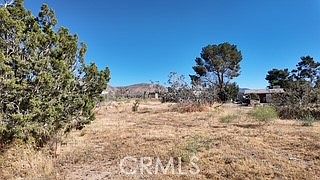4th image of 7676 Juniper Rd