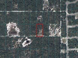 7111 SW 152nd Pl, Dunnellon, FL 34432