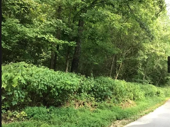 Snodgrass Rd, New Tazewell, TN 37825