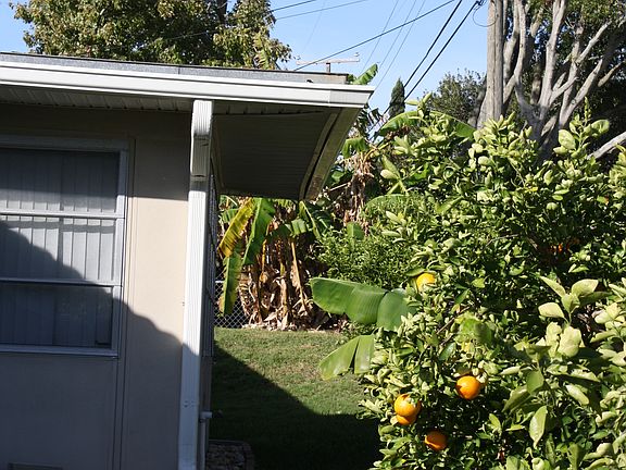 4th image of 3519 Shady Bluffs Dr