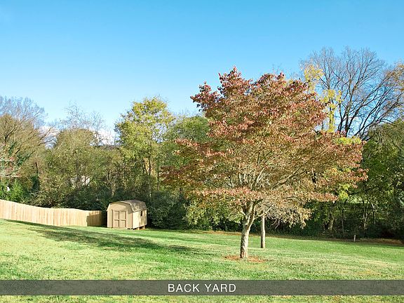 BACK YARD