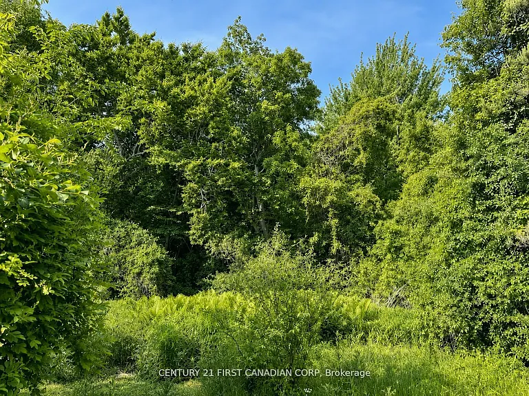 1341 Aldersbrook Rd — Photo 25