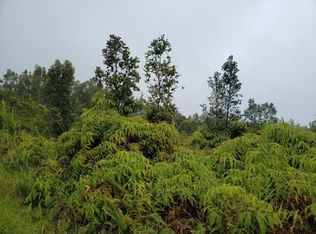 Uhini Ana Rd #1-LOT 2518, Mountain View, HI 96771