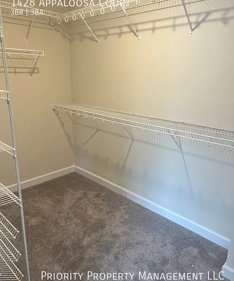1428 Appaloosa Ct — Photo 18