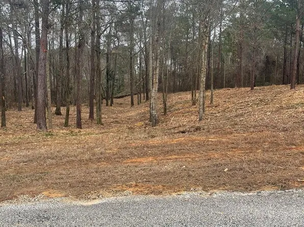 51 & 52 Lakeview Dr, Headland, AL 36345