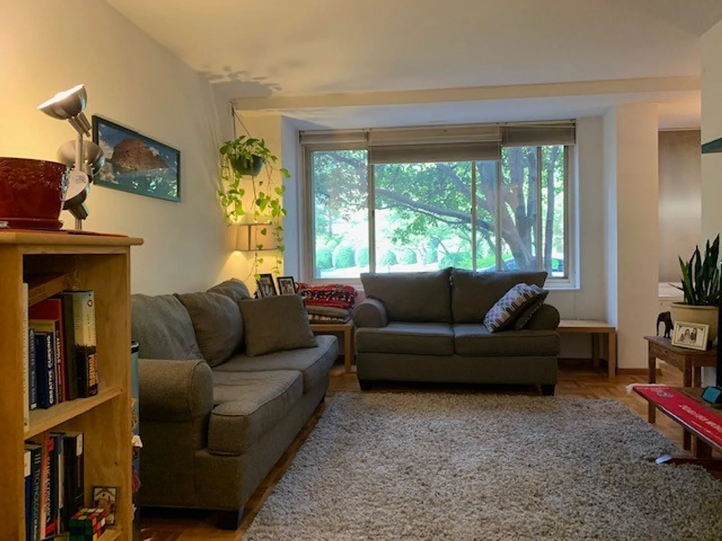 Charming and Sunlit 1 BD, 1 BA with Main Level Walk-in in Glover Park, NW DC!! Utilities Included — Photo 3