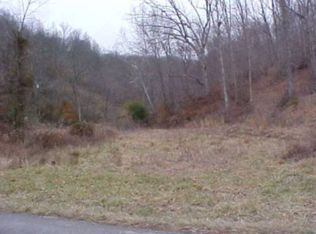 Lick Creek Rd, Webbville, KY 41180