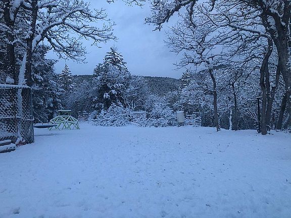 3rd image of 145 Placer Hill Dr