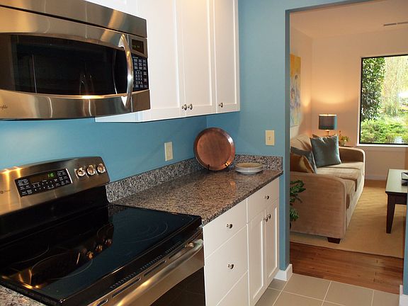 Kitchen - SS appliances