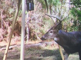 Blue Lake Rd LOT WP001, Perkinston, MS 39573