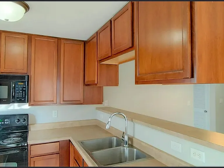 3202 Spring Creek Ln — Photo 7
