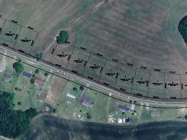 lot 7 Black Branch Rd., Dillon, SC 29536
