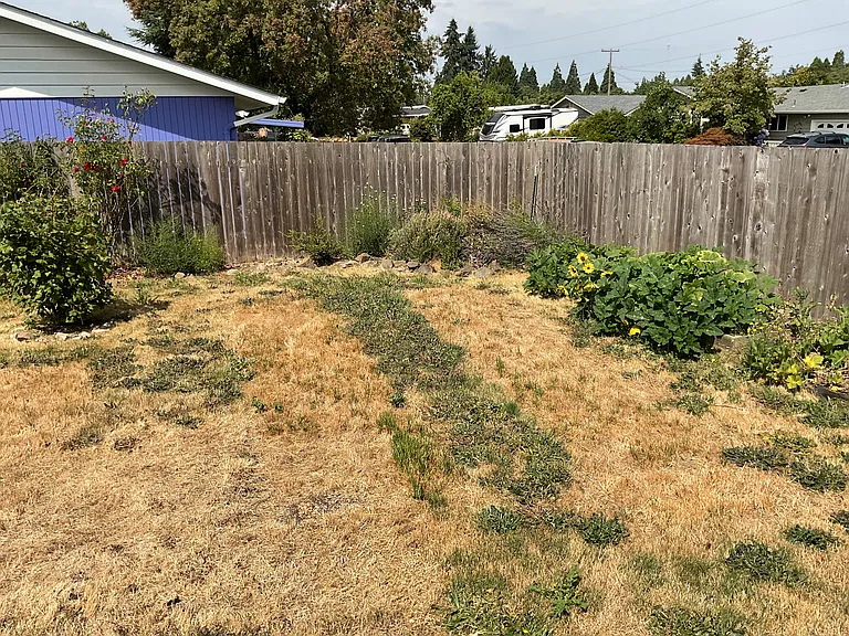 1650 Tamarack St — Photo 13