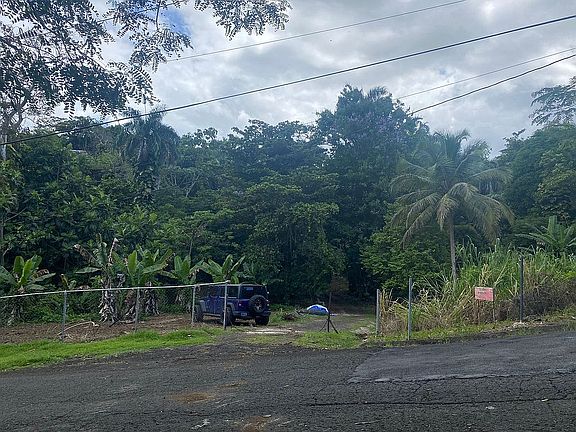 3rd image of Ca 301 Carr175 Km61 Bo Carraizo Lot 4