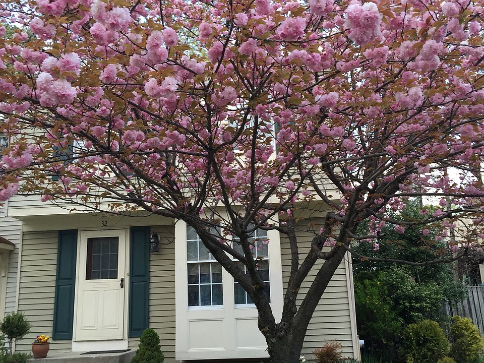 2nd image of 32 Dallington Ct