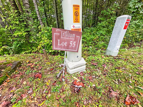 2nd image of 55 Springhead Trail