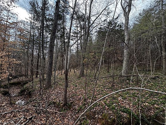 4th image of 0 Carter Smith Rd