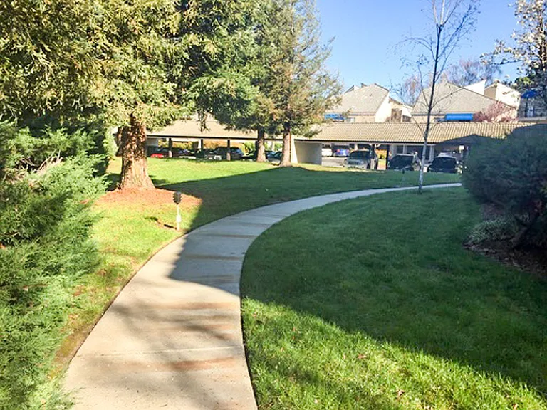 39470 Albany Cmn #G — Photo 12