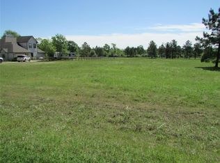 12718 Water Buck Ct, Conroe, TX 77303