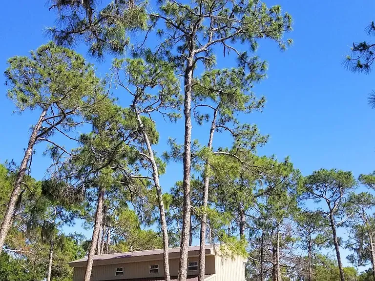 8280 Ibis St #1 — Photo 17