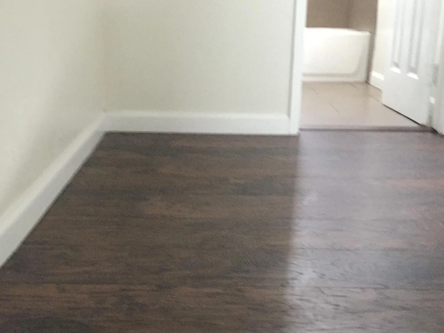 4353 Toland Way — Photo 3