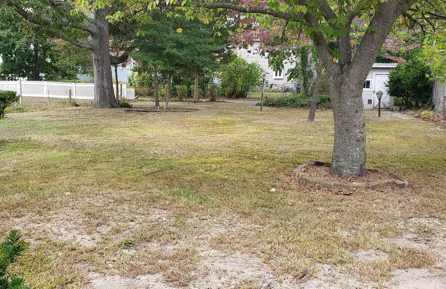 1015 Broad St — Photo 3