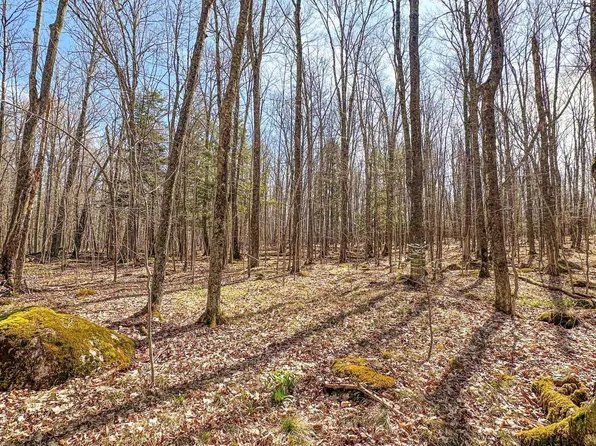 10A BASS LAKE ROAD, Park Falls, WI 54552