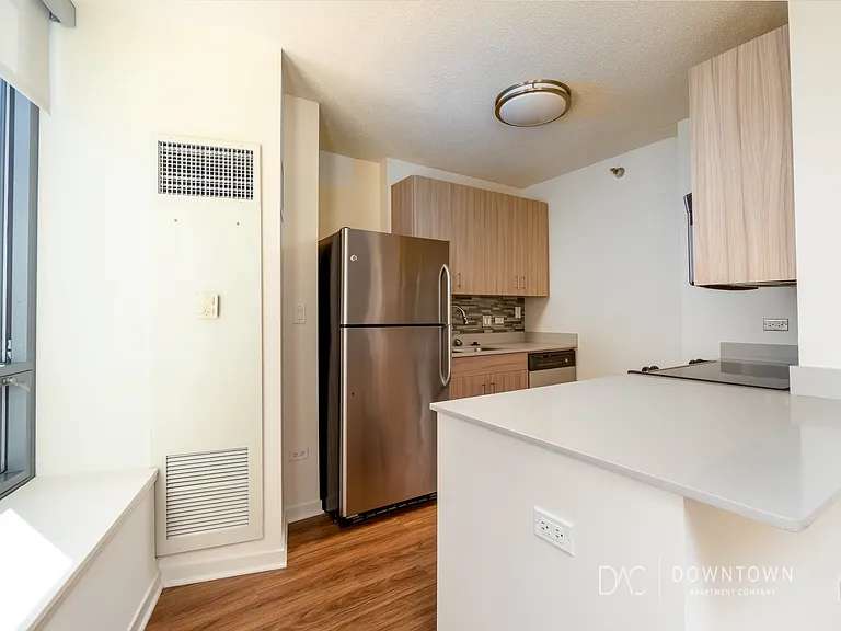 430 W Ohio St #4603 — Photo 4