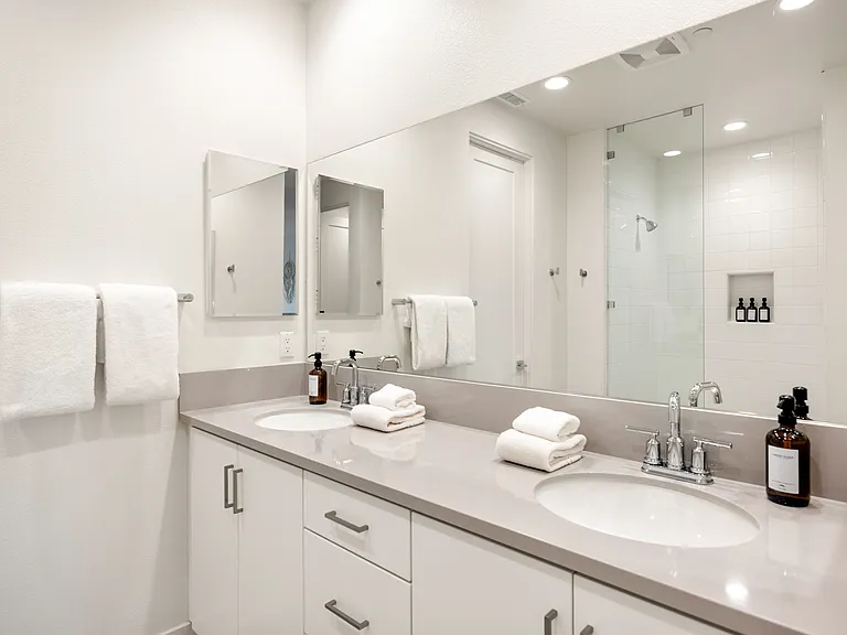 Master Suite Bathroom