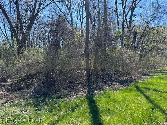 3rd image of 0 Cooley Lake Rd