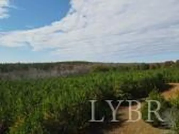 302 Community Rd Lot 2, Dillwyn, VA 23936