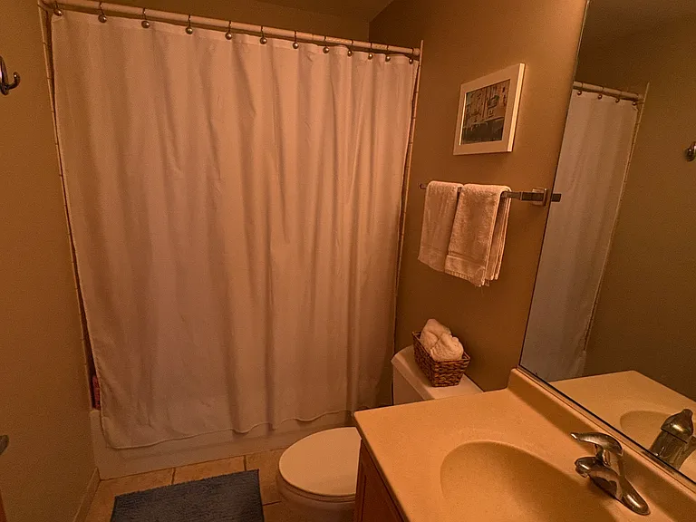 1250 S Indiana Ave #1001 — Photo 7
