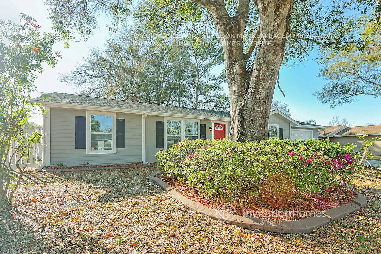 8033 Banister Ln Port Richey, FL 34668 — Photo 3