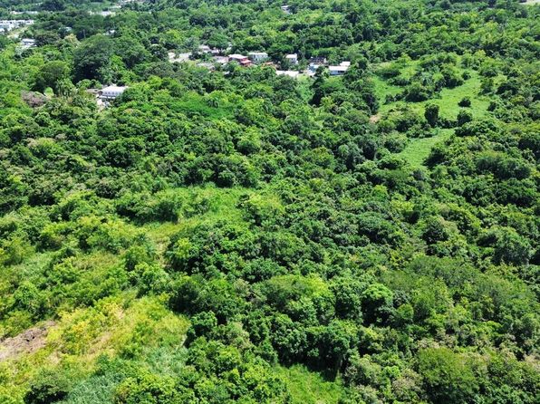 0 Cienaga Baja, Rio Grande, PR 00745