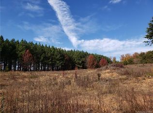 3219 Lynn Mountain Rd, Vale, NC 28168